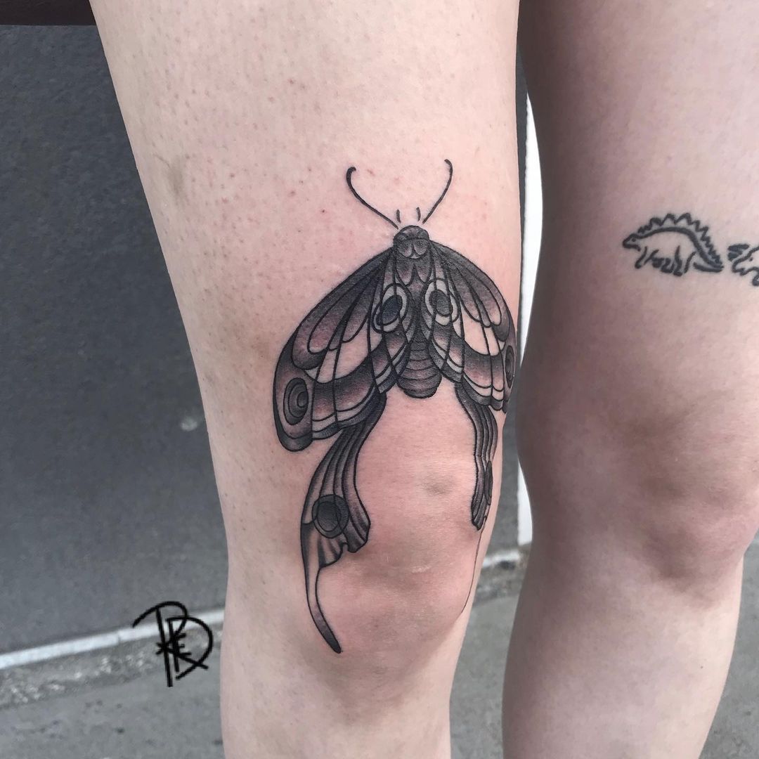 Spicy Knee Butterfly — Brooke Middleton