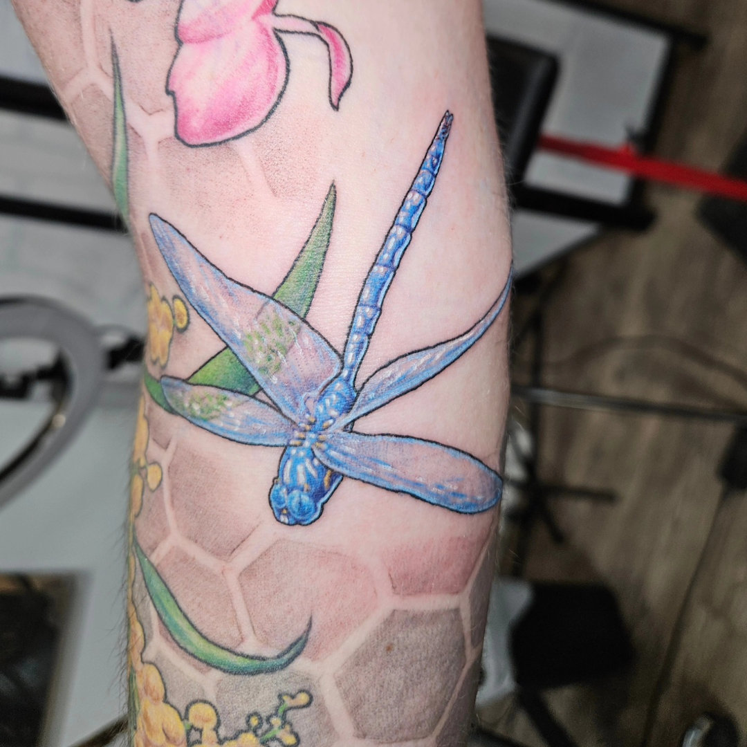 Blue Dragonfly Tattoo — Clay Walker