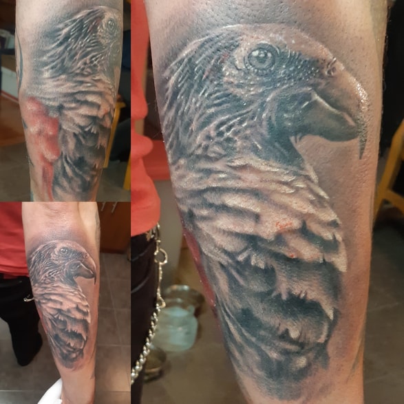 Parrot Tattoo — Clay Walker