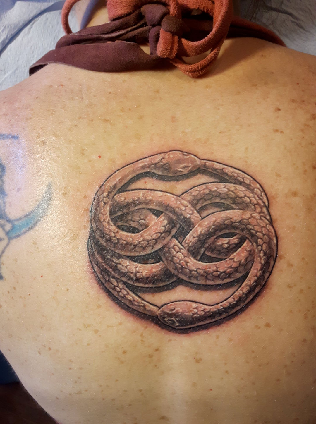 Snakes Tattoo â€” Clay Walker