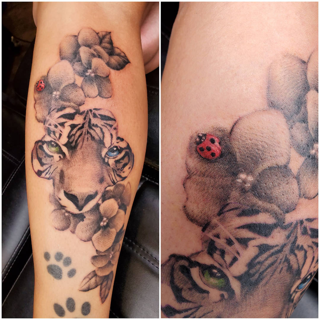 Violet Tiger and a Ladybug â€” Clay Walker