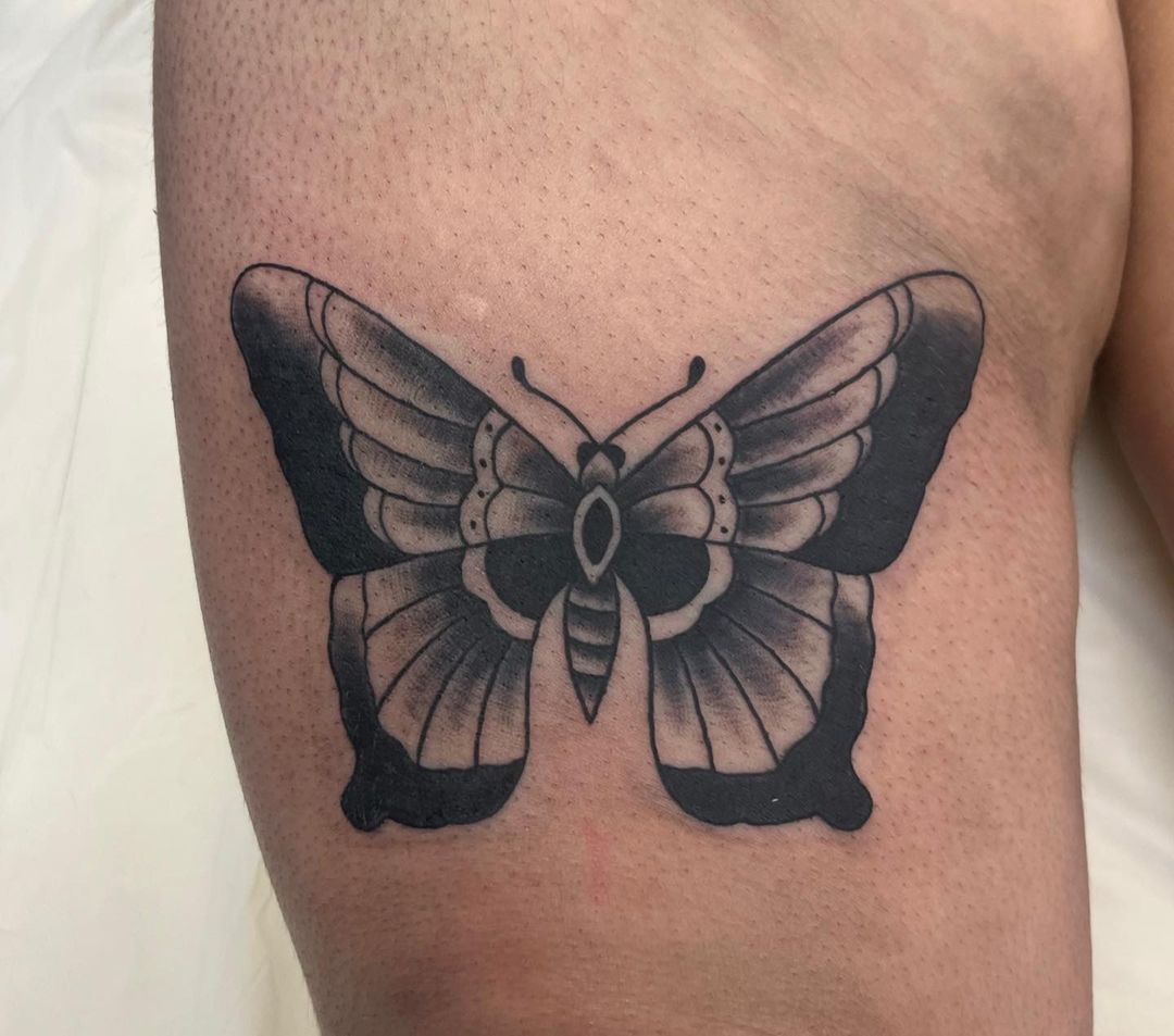 Butterfly — Trevor Bigam