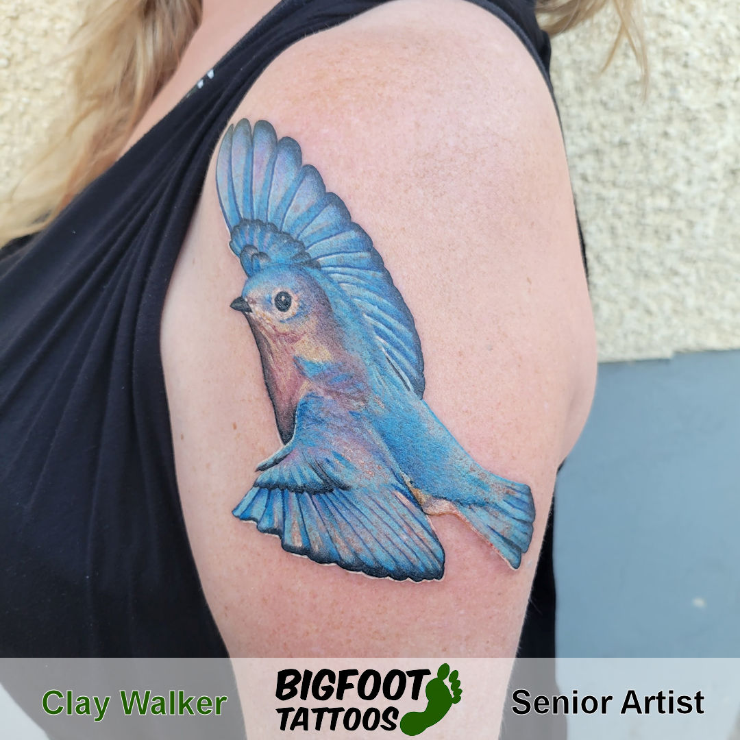 Bluebird — Clay Walker