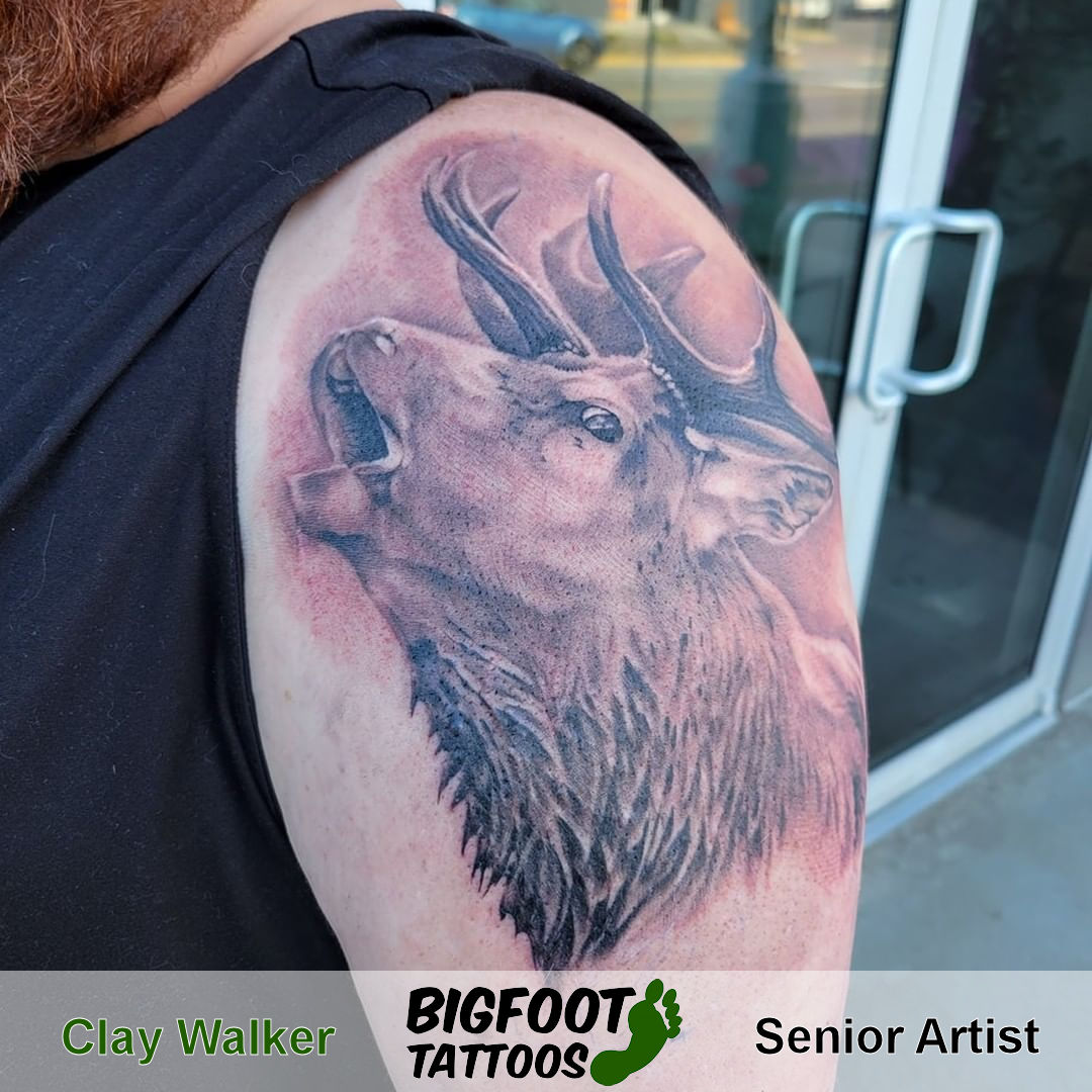Bugling Elk — Clay Walker
