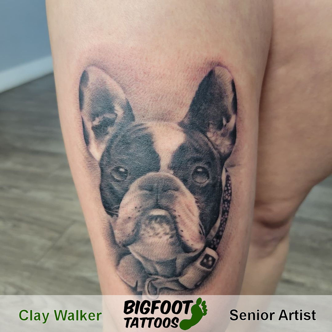 Dog Portrait — Clay Walker