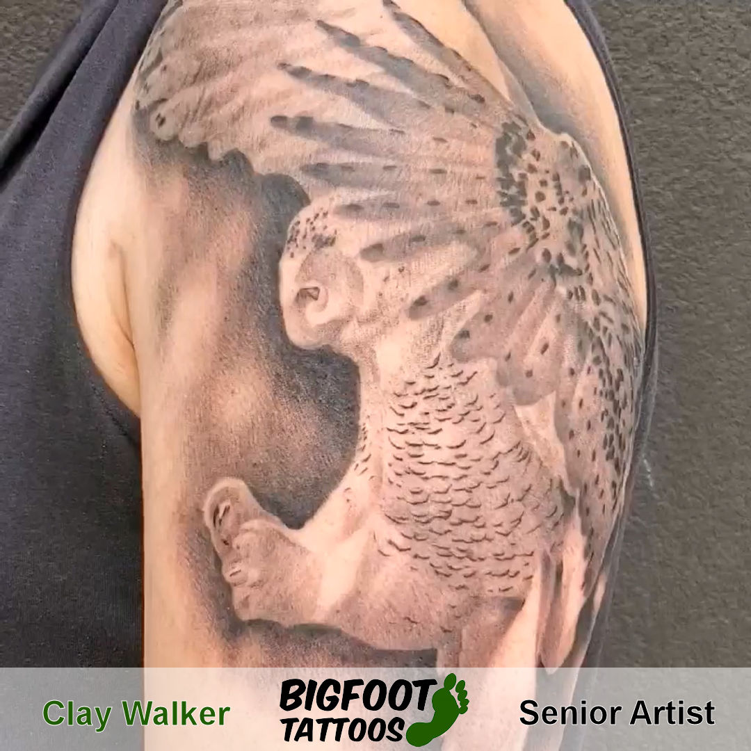 Snowy Owl Tattoo — Clay Walker