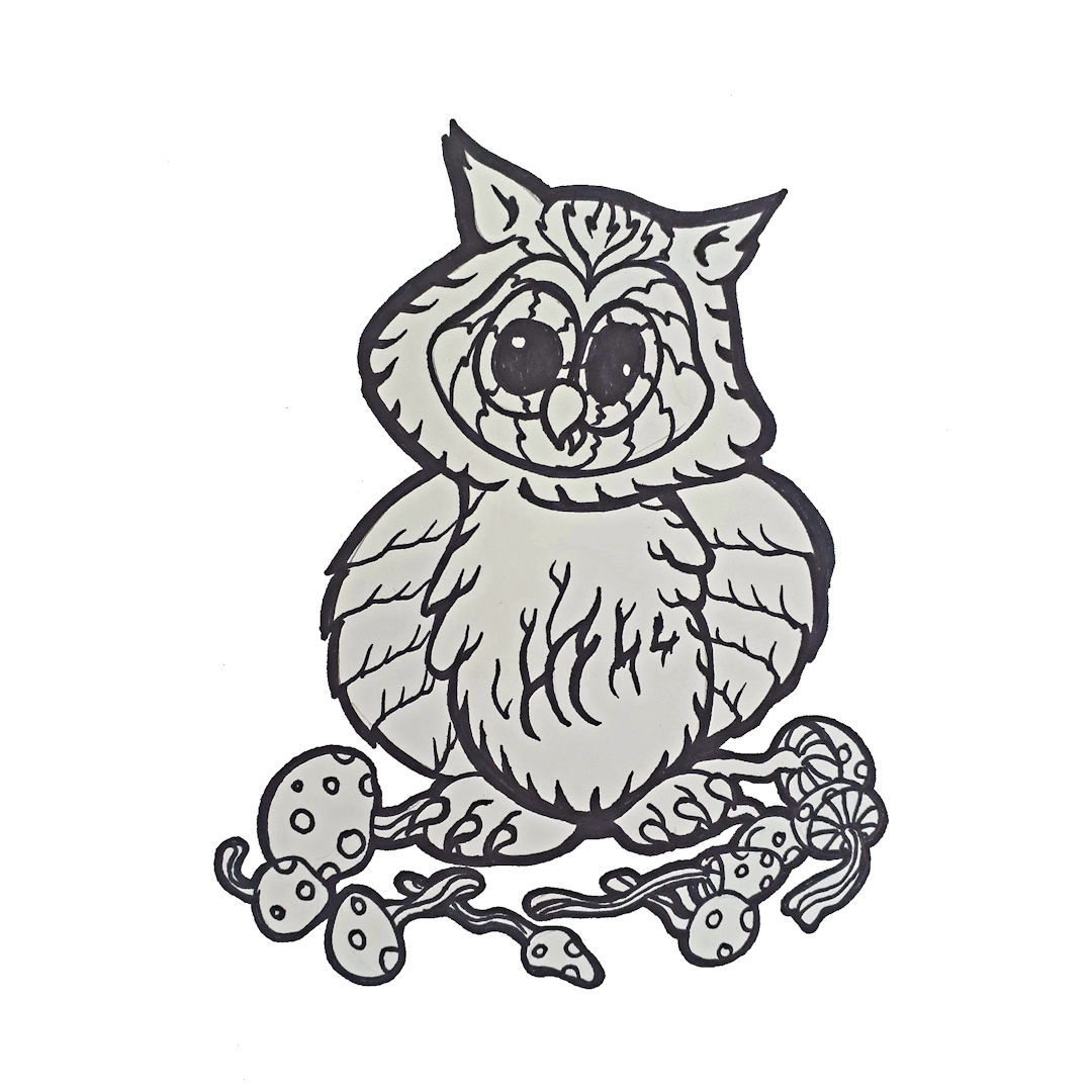 Shroom Owl Flash â€” Kelly Wright