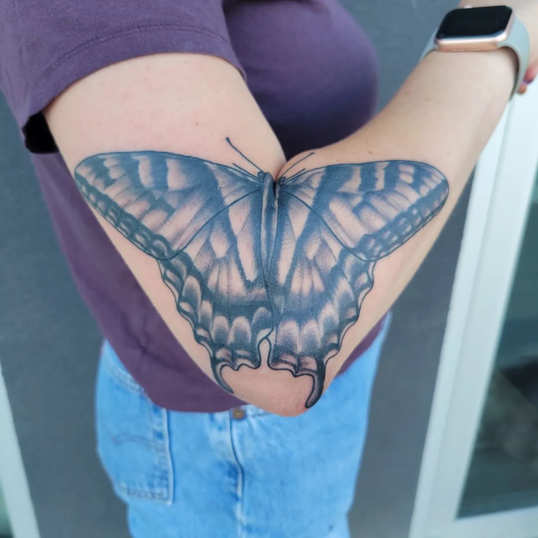 Swallow Tail Butterfly â€” Brooke Middleton