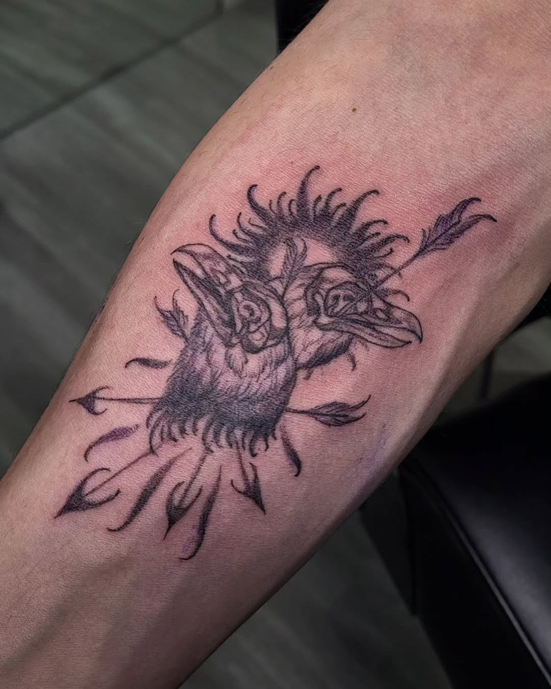 Raven Tattoo — Jess Adlaide