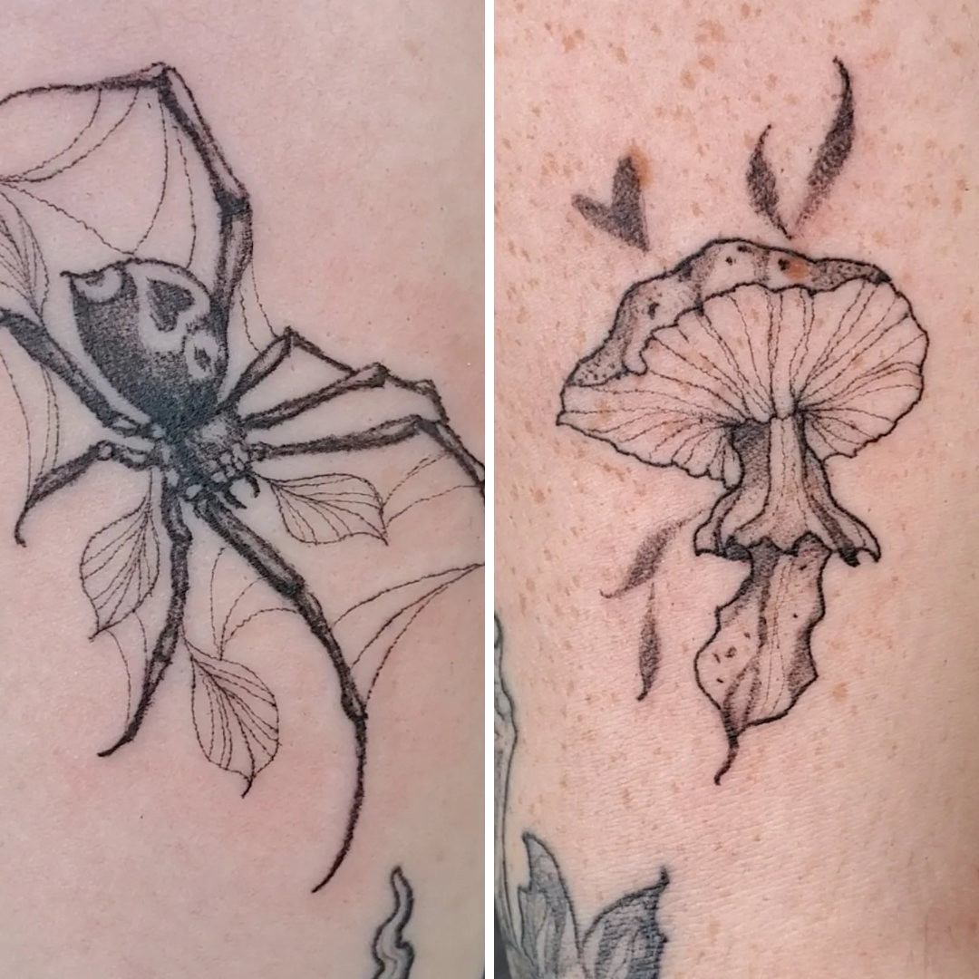 Spider and Mushroom Addons — Jess Adlaide Spider and Mushroom Addons — Jess Adlaide