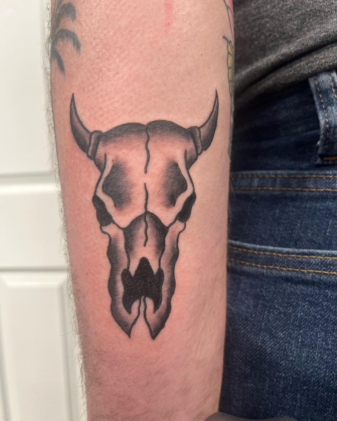 Cow Skull from Flash — Trevor Bigam