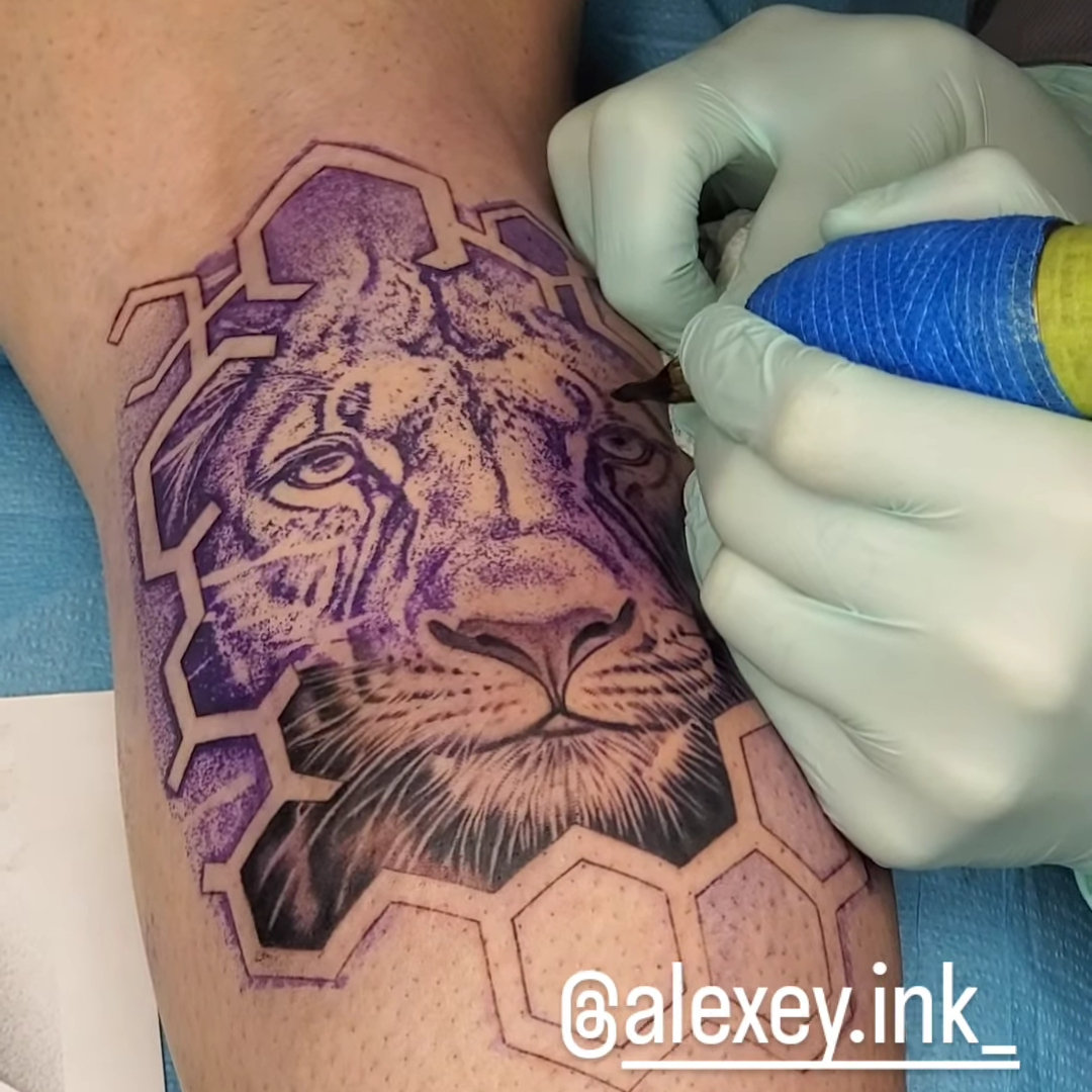 Cat Tattoo — Alex Pyankov Cat Tattoo — Alex Pyankov