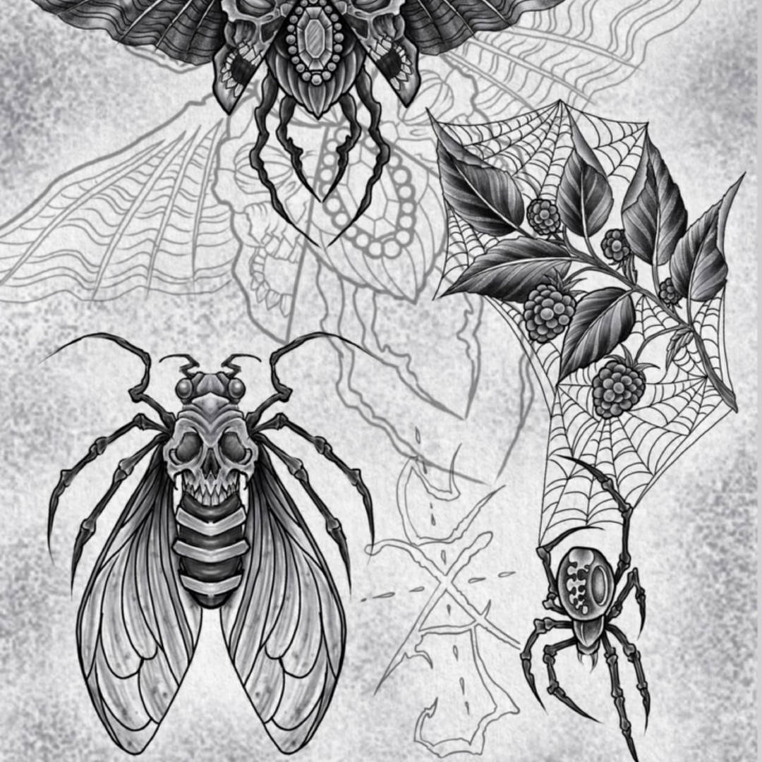 Flash — Cody Morin Guest Artist