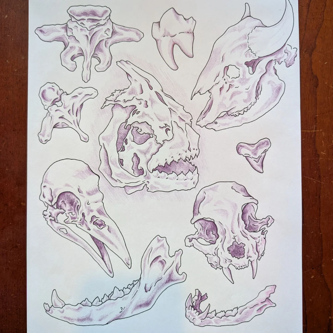 Bones — Danny Cattington