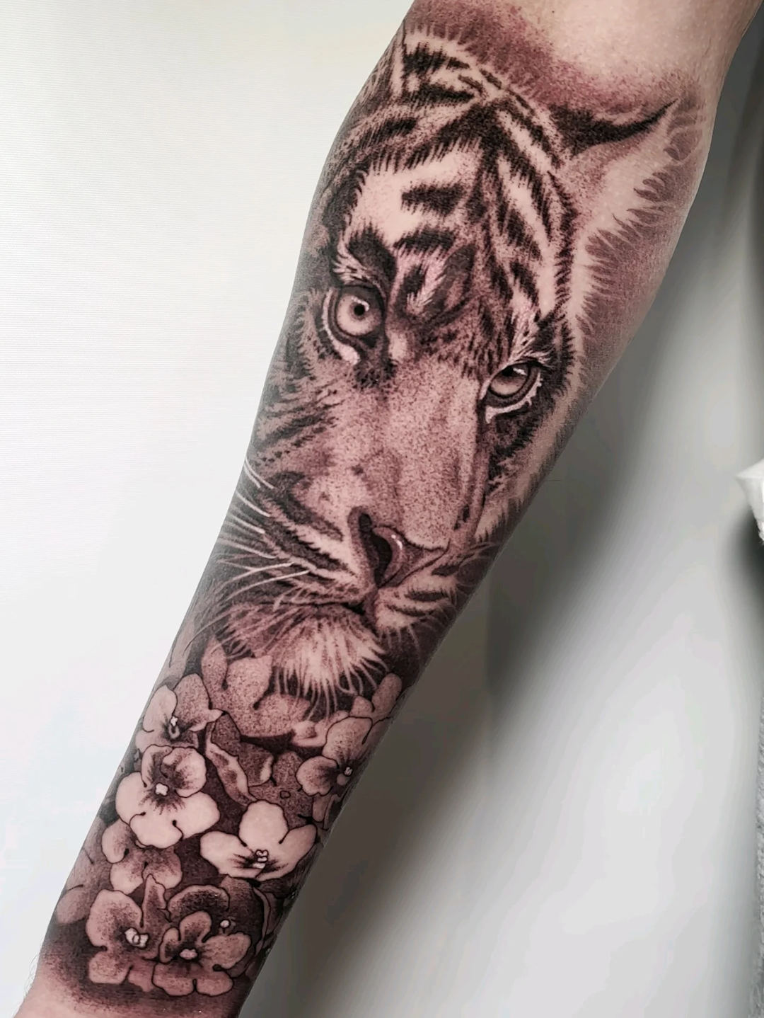 Dmitriy Stankov — Guest Artist