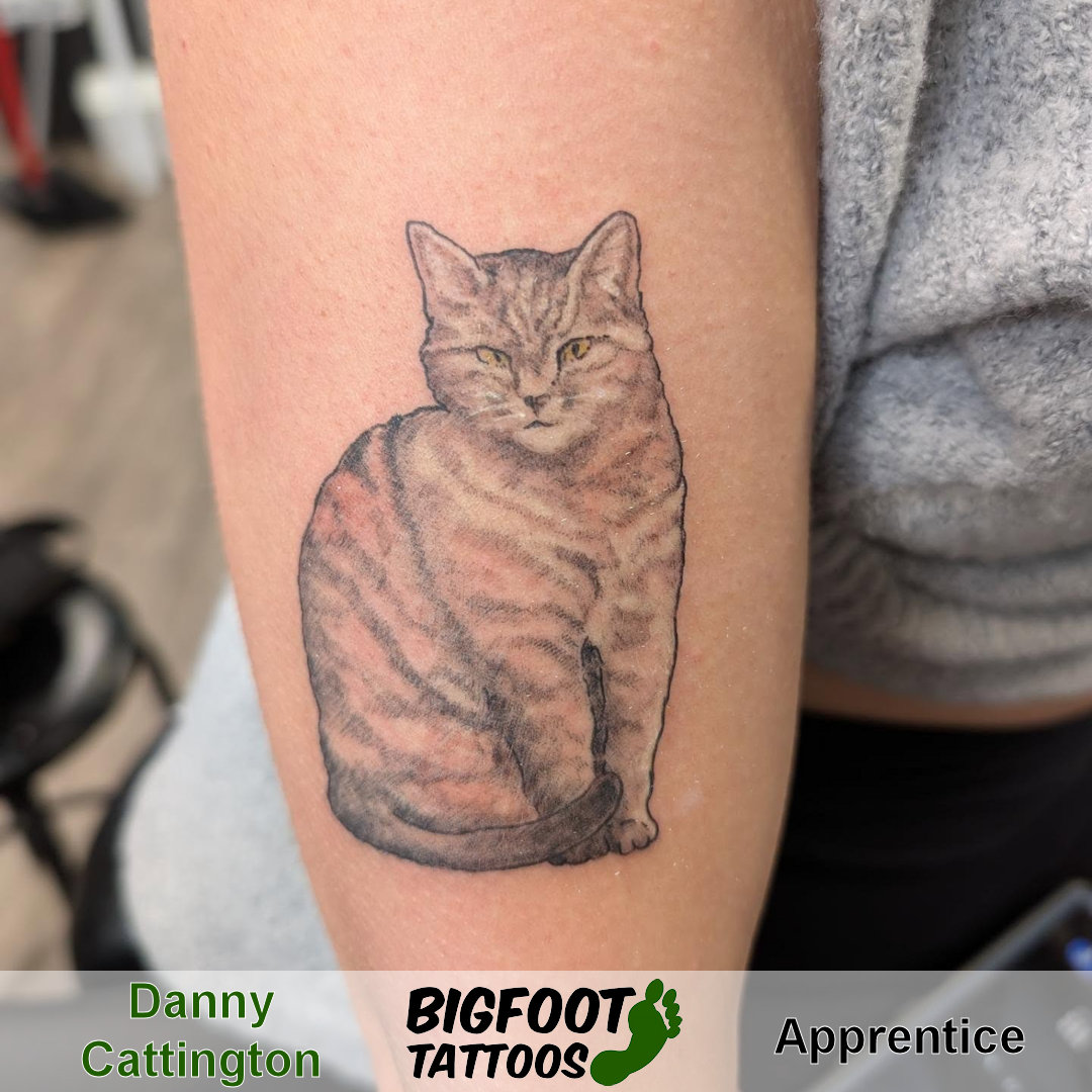 Big Kitty Tattoo — Danny Cattington