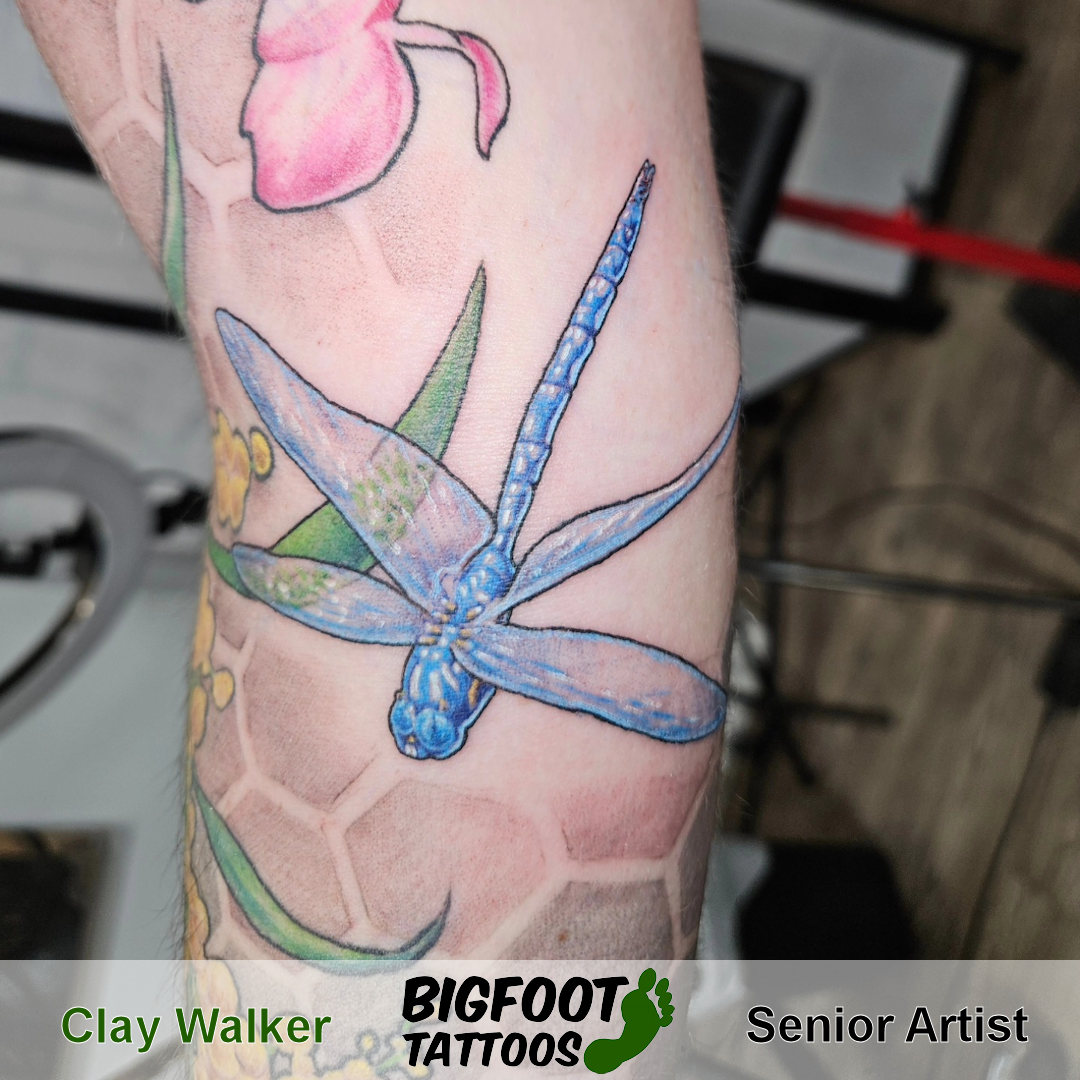 Blue Dragonfly Tattoo — Clay Walker