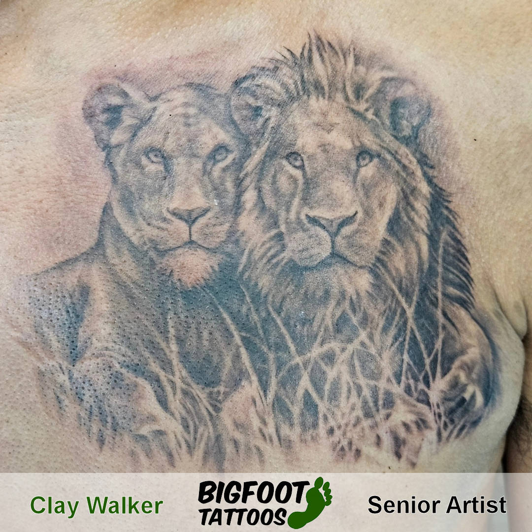 Couple Lions Lyin Around — Clay Walker Couple Lions Lyin Around — Clay Walker