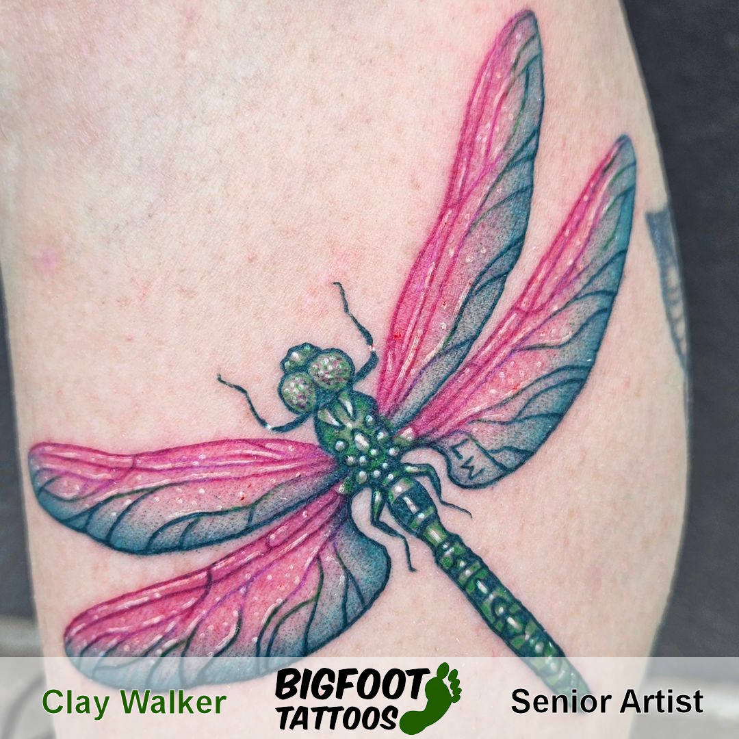 Dragonfly — Clay Walker