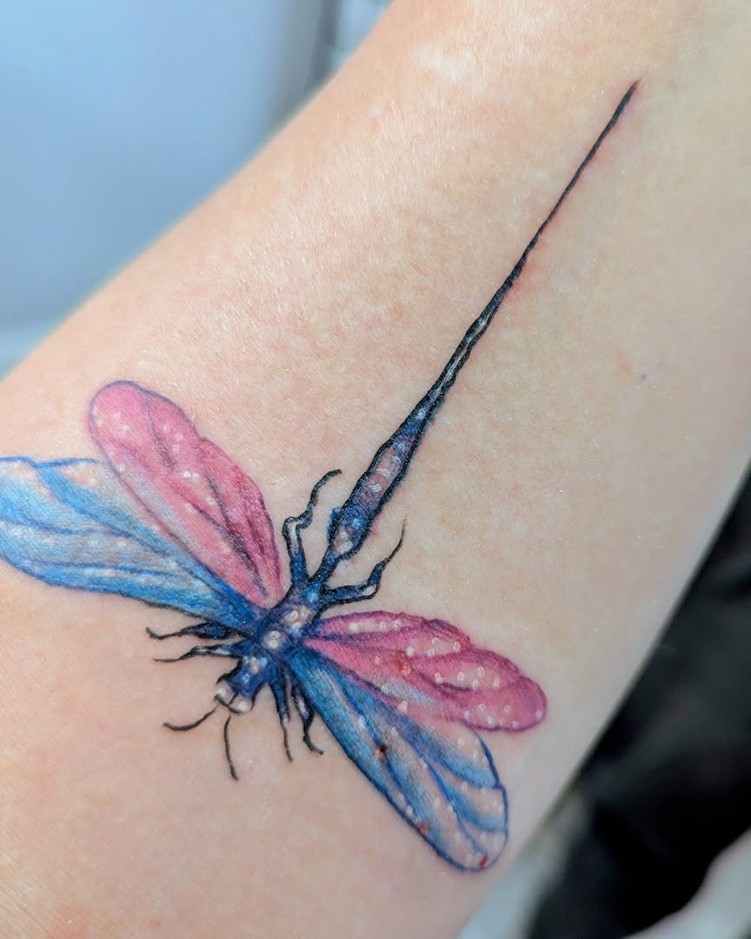 Dragonfly Tattoo — Jess Adlaide — Kamloops Tattoo Show Dragonfly Tattoo — Jess Adlaide — Kamloops Tattoo Show
