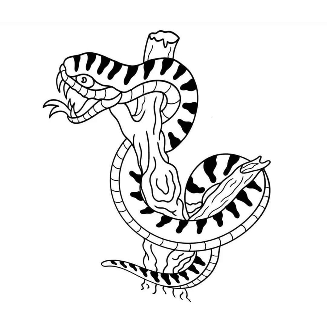Snake Flash — Trevor Bigam